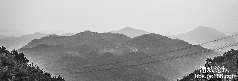 DSC_0165.jpg