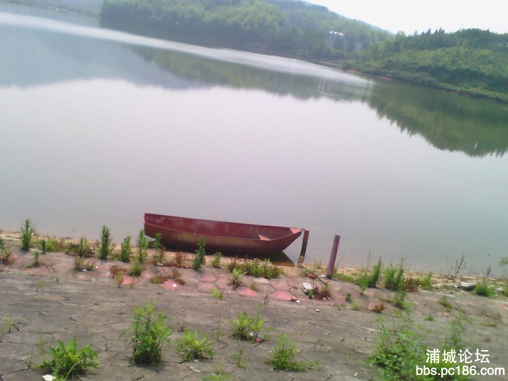 IMG_20140614_091520448.jpg