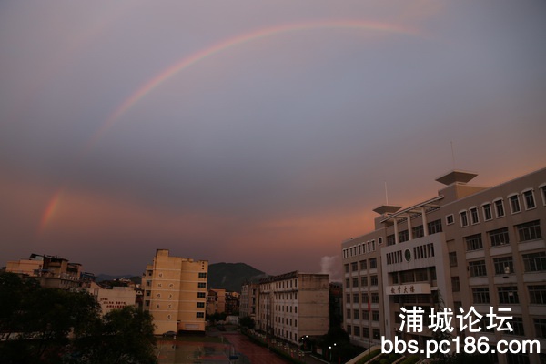 IMG_3413_调整大小.JPG