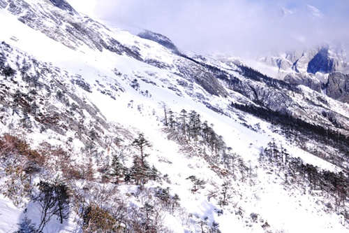 DSC_0237.JPG