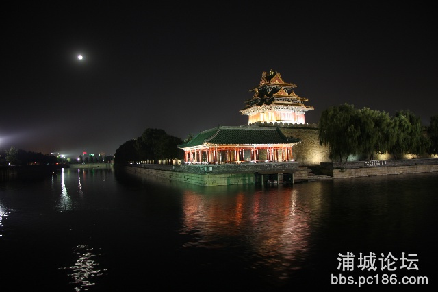 12524727d14g214.jpg