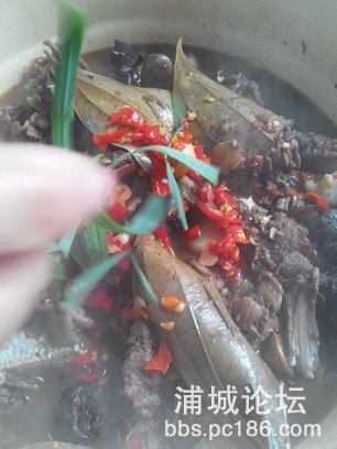 113118ctttwpqtctldtlp0.jpg