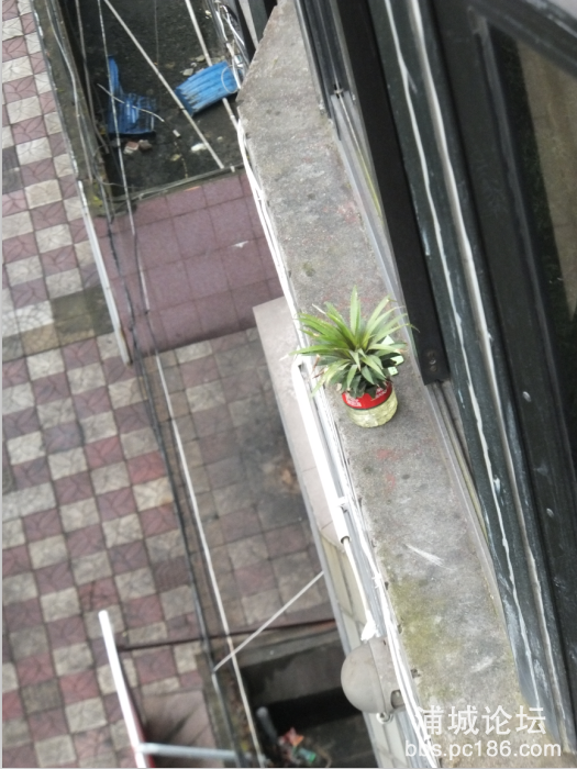 QQ图片20150603152353.png