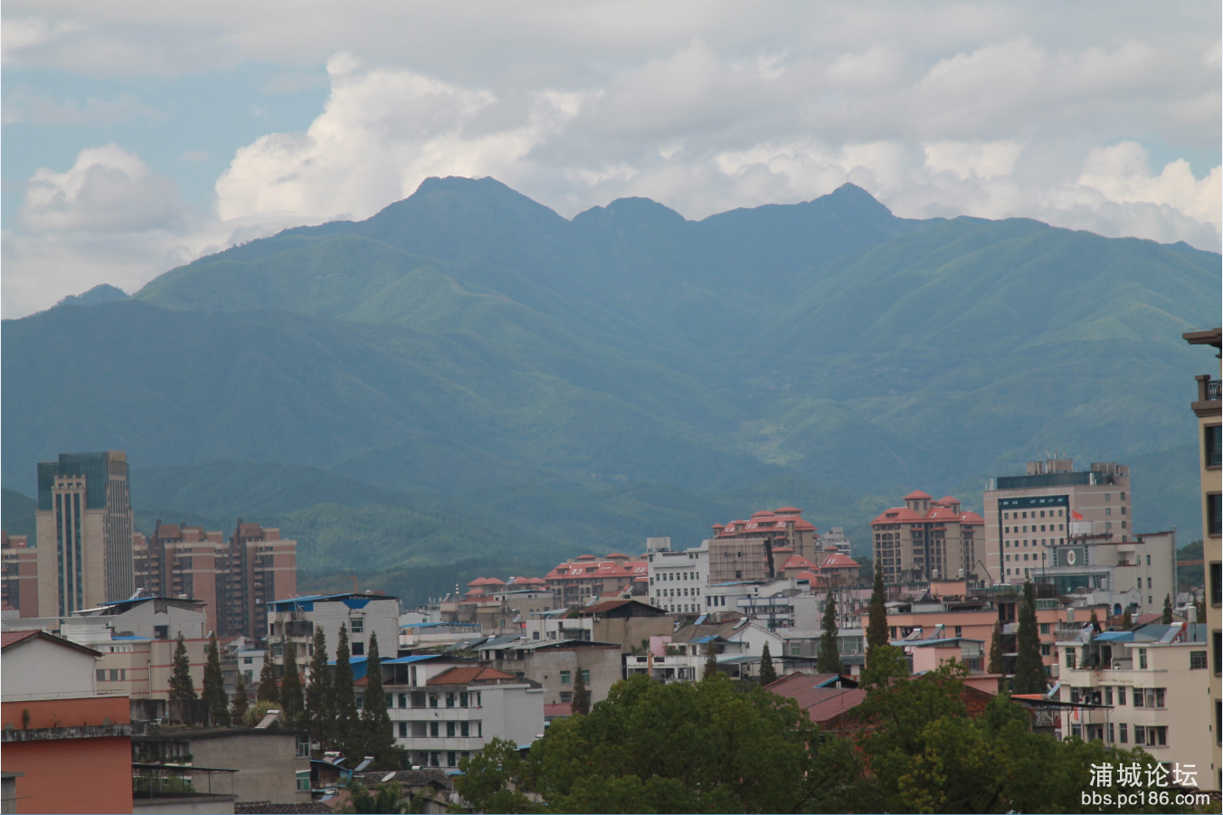 浦城的山