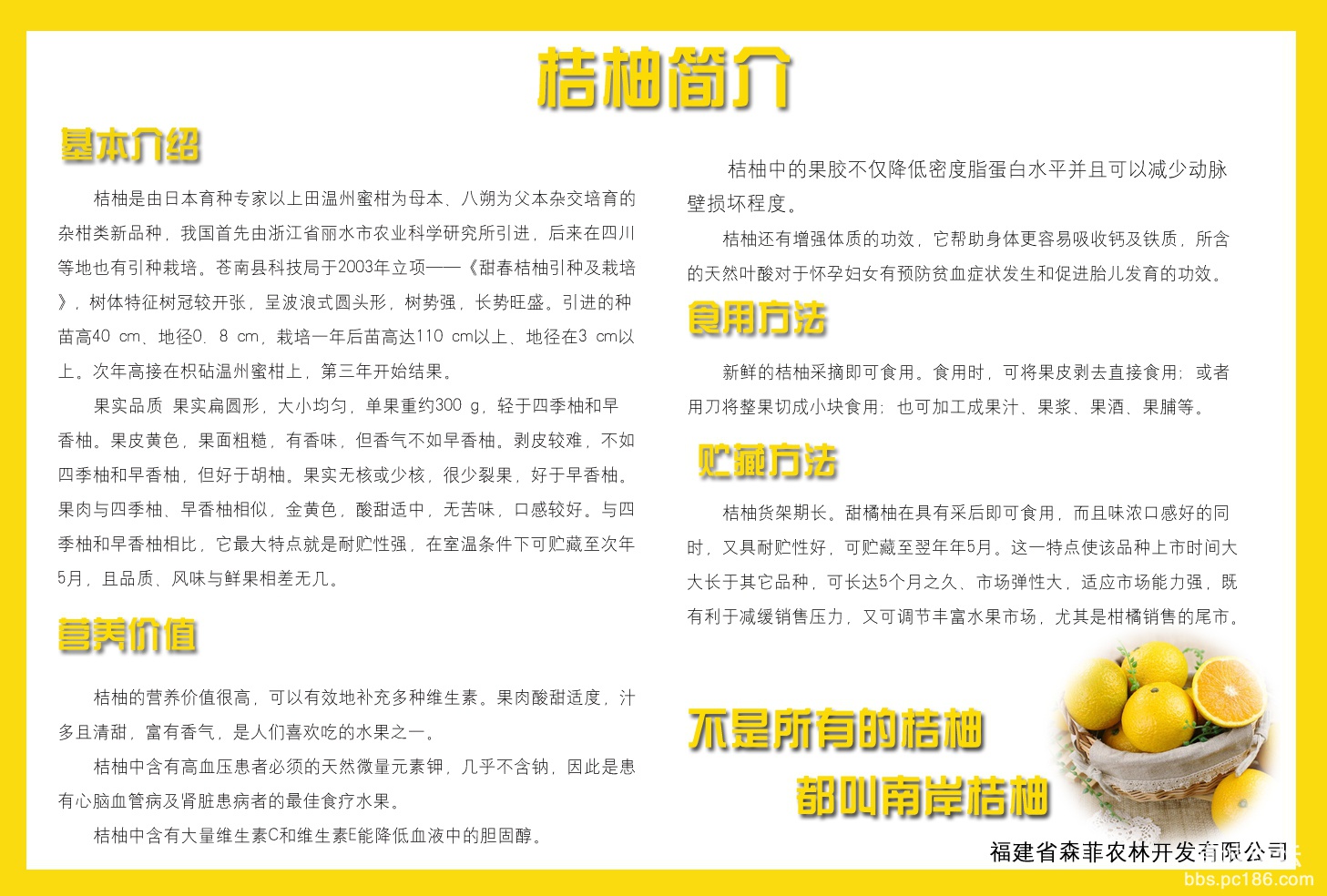 简介背面.jpg