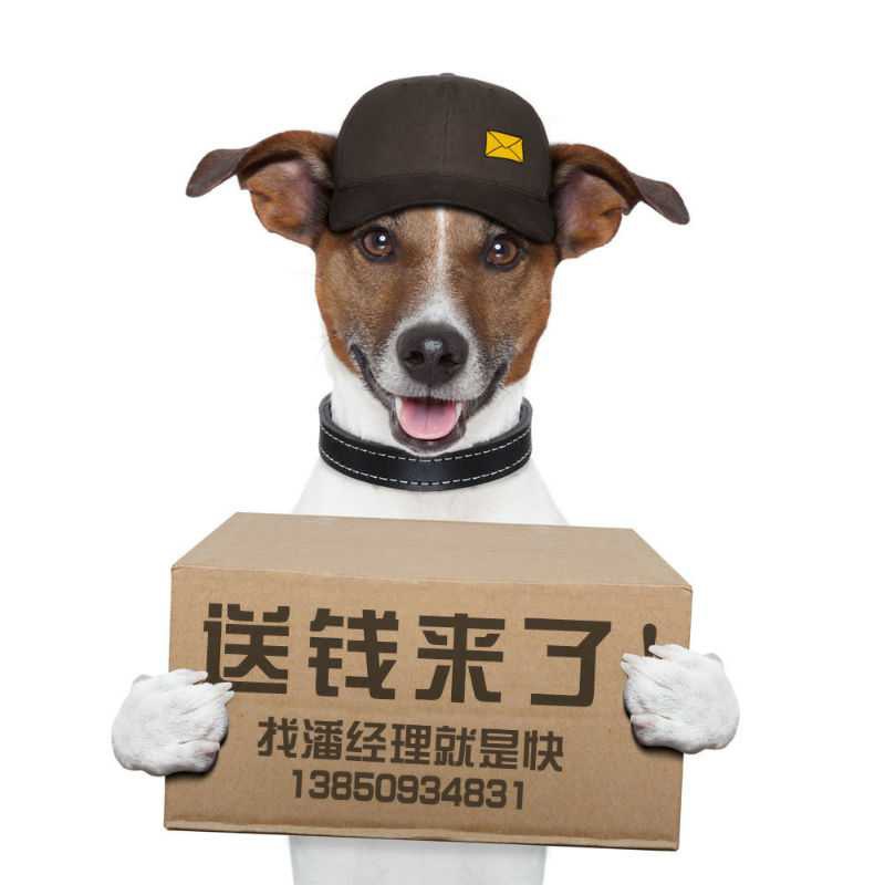 mmexport1453084061854.jpeg