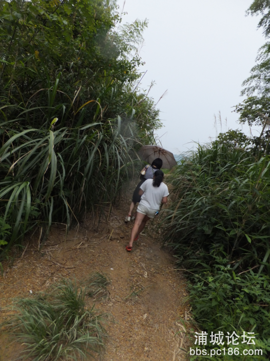 QQ图片20160626140108.png