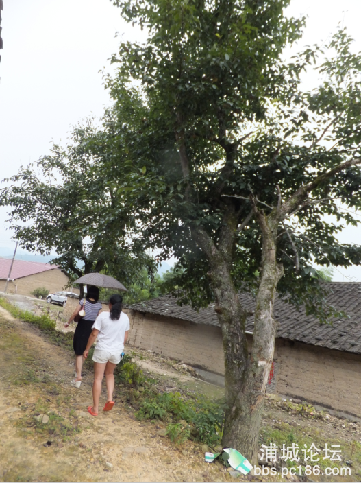 QQ图片20160626135819.png