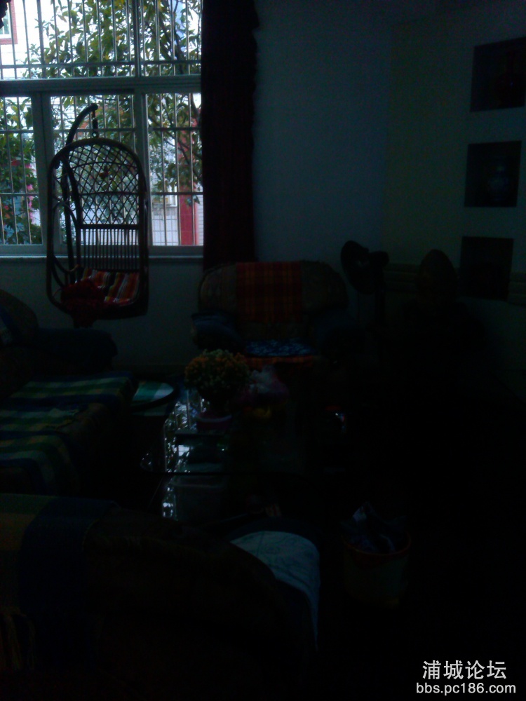 IMG_20131116_104204.jpg