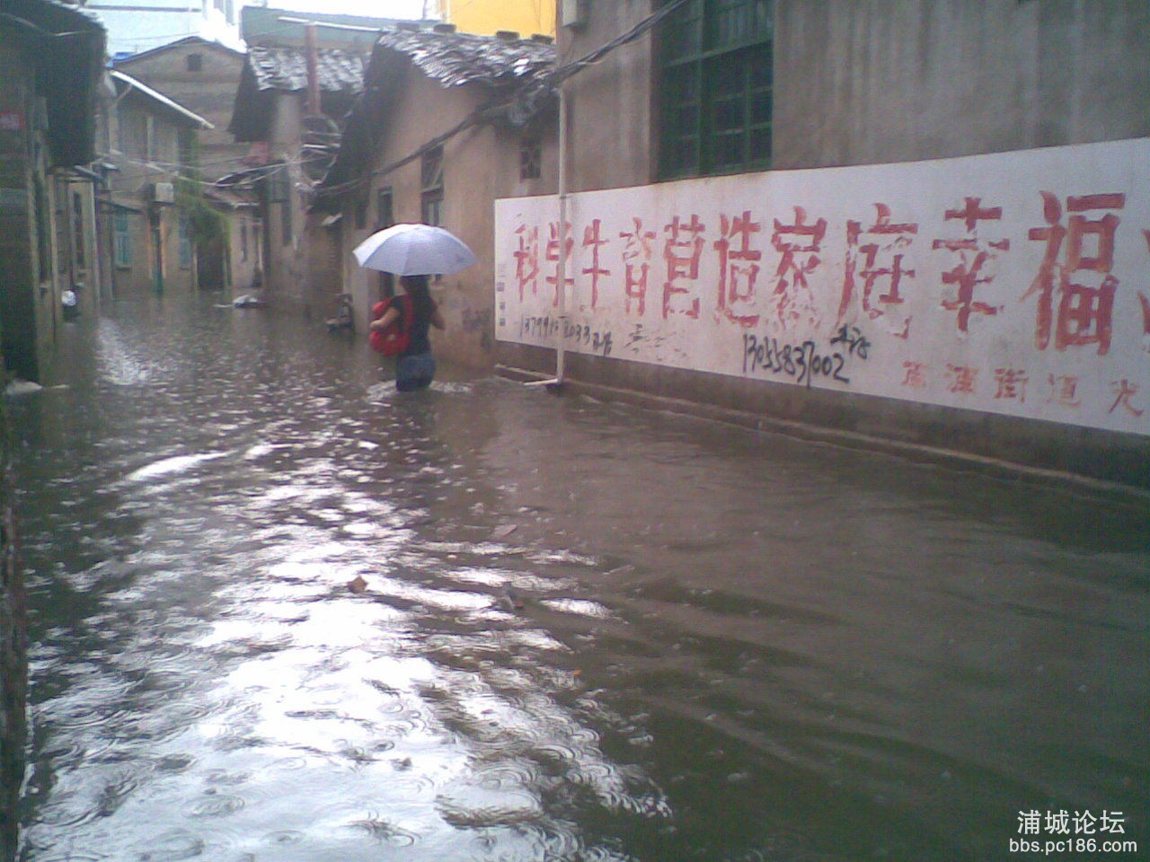 图像019_看图王.jpg