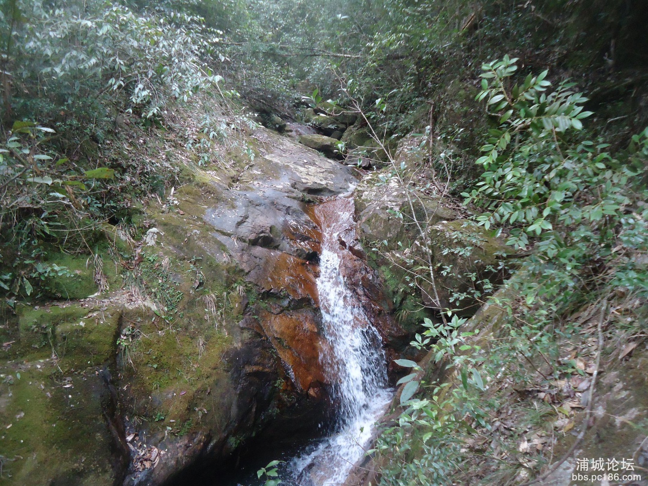 DSC03009.JPG