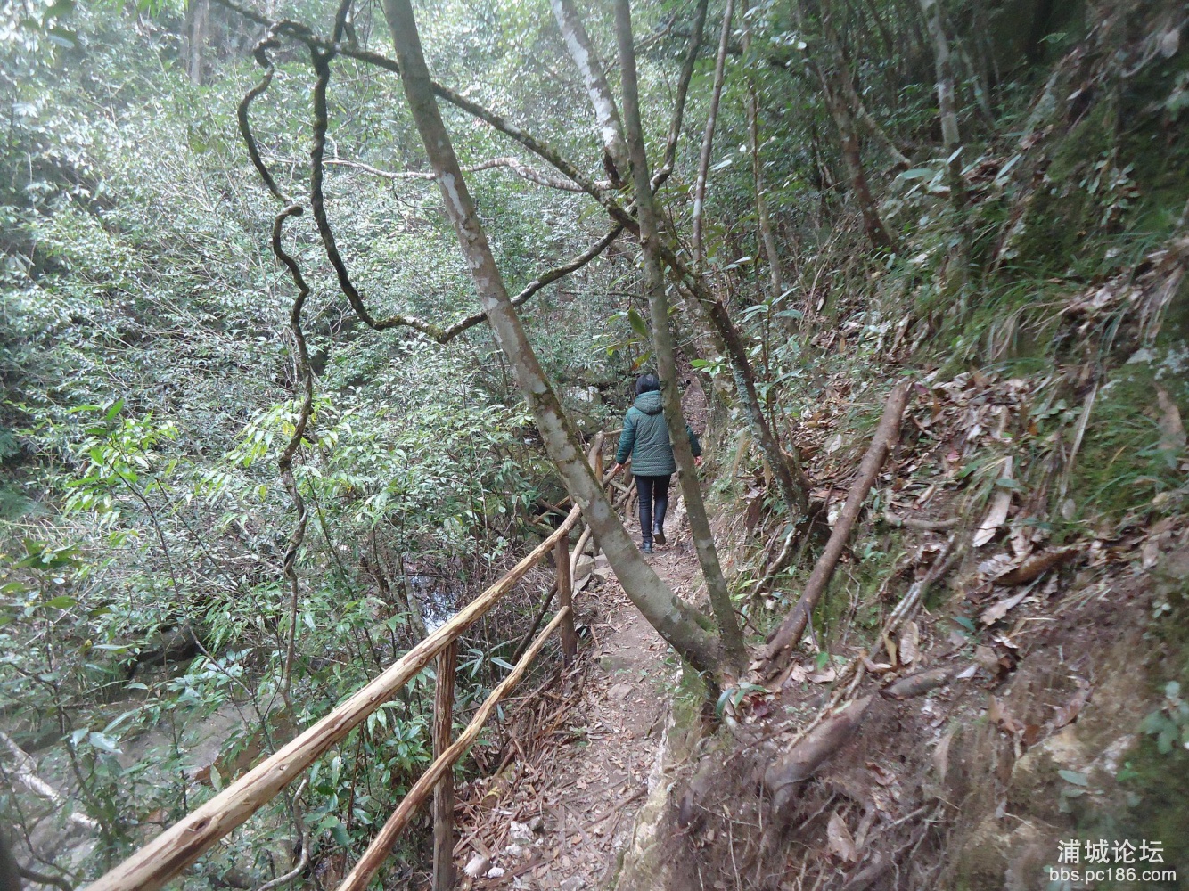 DSC03011.JPG
