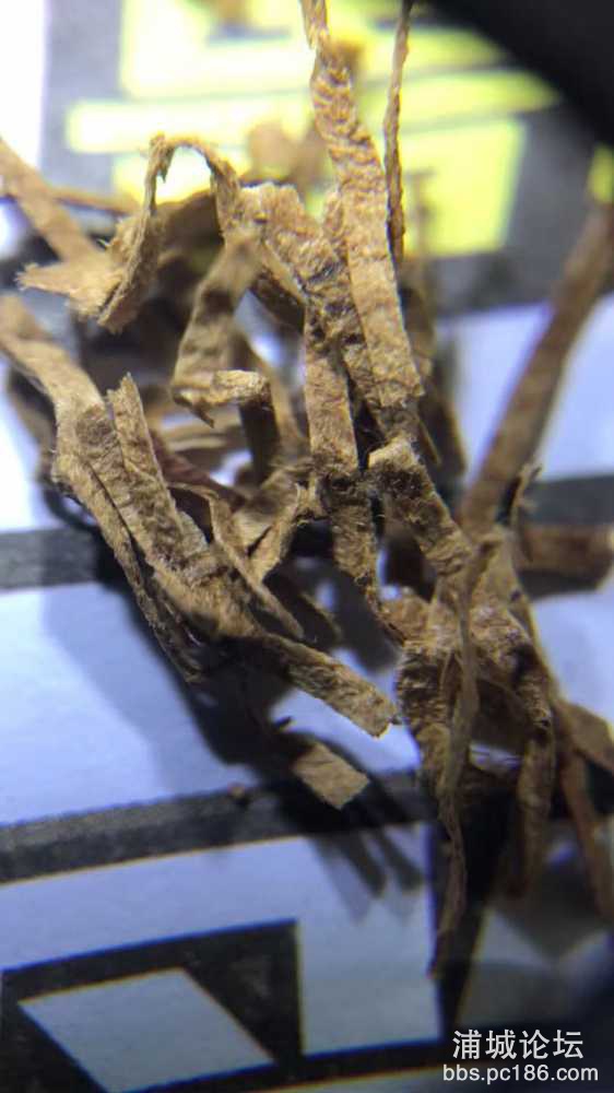 yyLNsEg28522.jpg