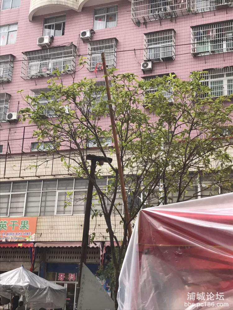 莲塘路22号锅边店长期堆放大量垃圾在隔壁店门口，隔壁店劝阻多次无效！可以看见现在万.jpg