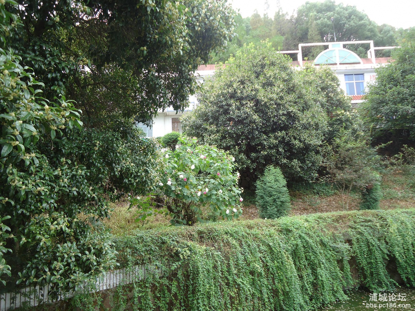 DSC06012.JPG