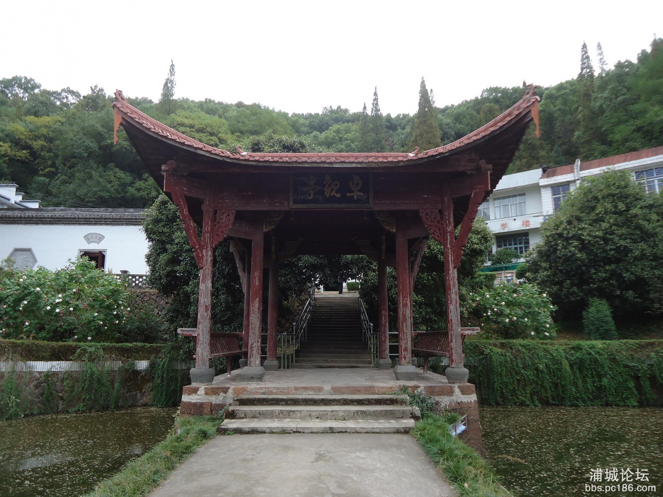 DSC06010.JPG