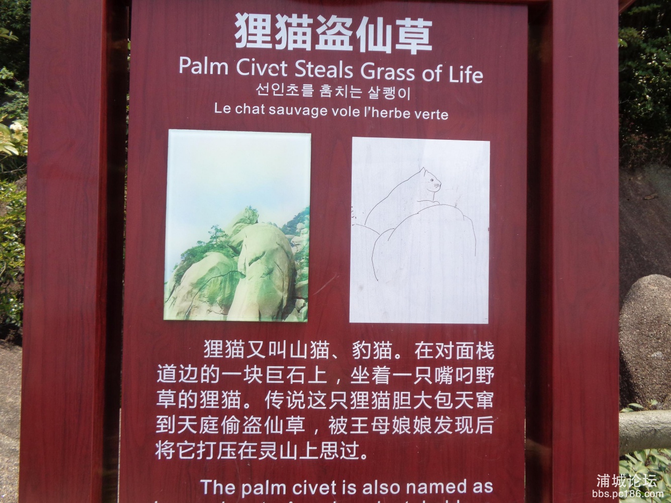 DSC00330.JPG