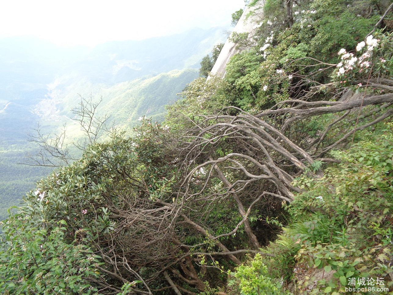 DSC00394.JPG