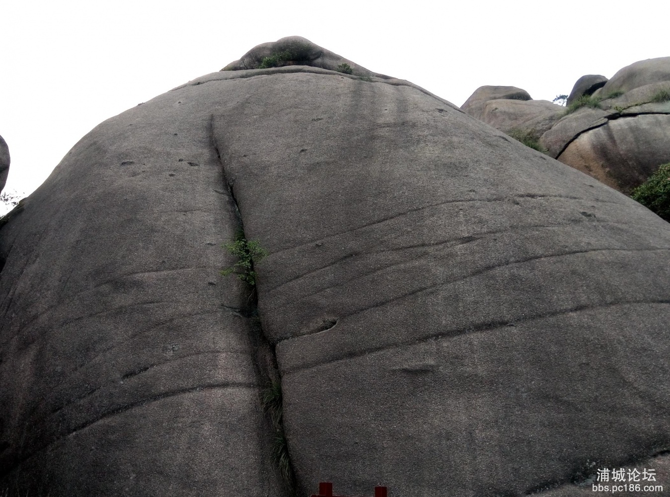 P70520-142242.jpg