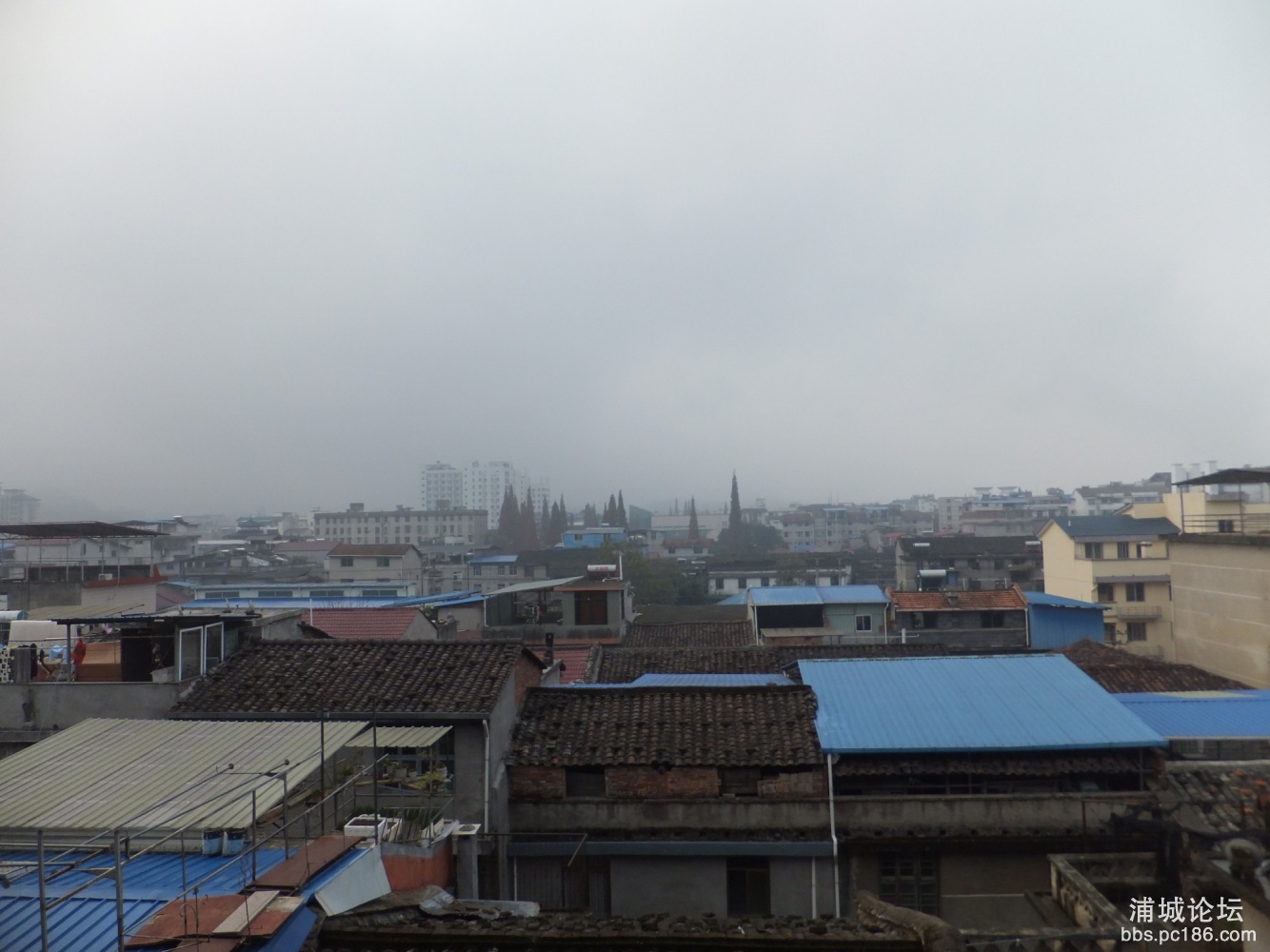 DSCF1354_副本.jpg