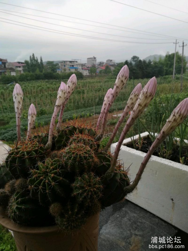 IMG_20180527_182241.jpeg