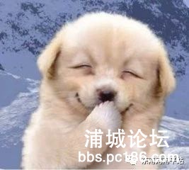 f5ac3161d46631820c3ea036252f784e.jpg