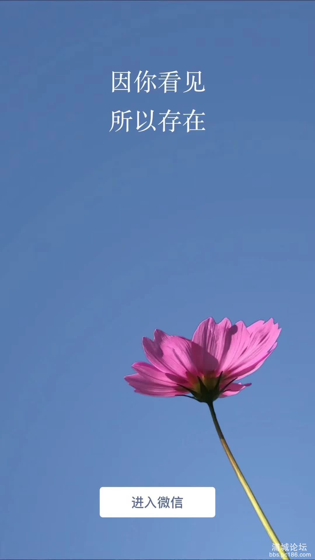 7a050da138643e22e57bad20786675c6.jpg