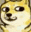 fa1c96edd0c5a97c218177cafb3673a7.gif