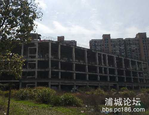 IMG_20190315_115156.jpg
