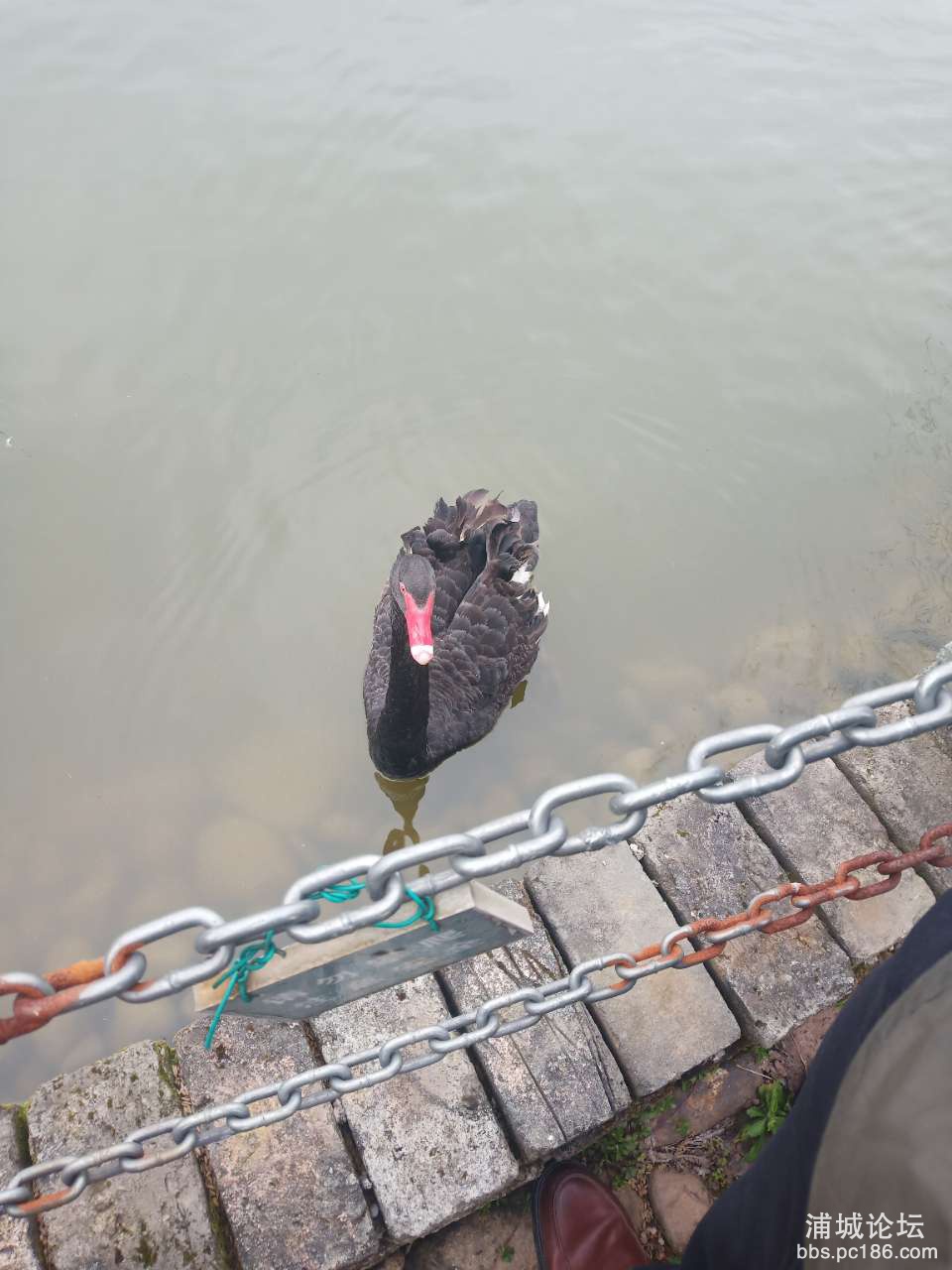 20190401_228193_1554106557281.jpg