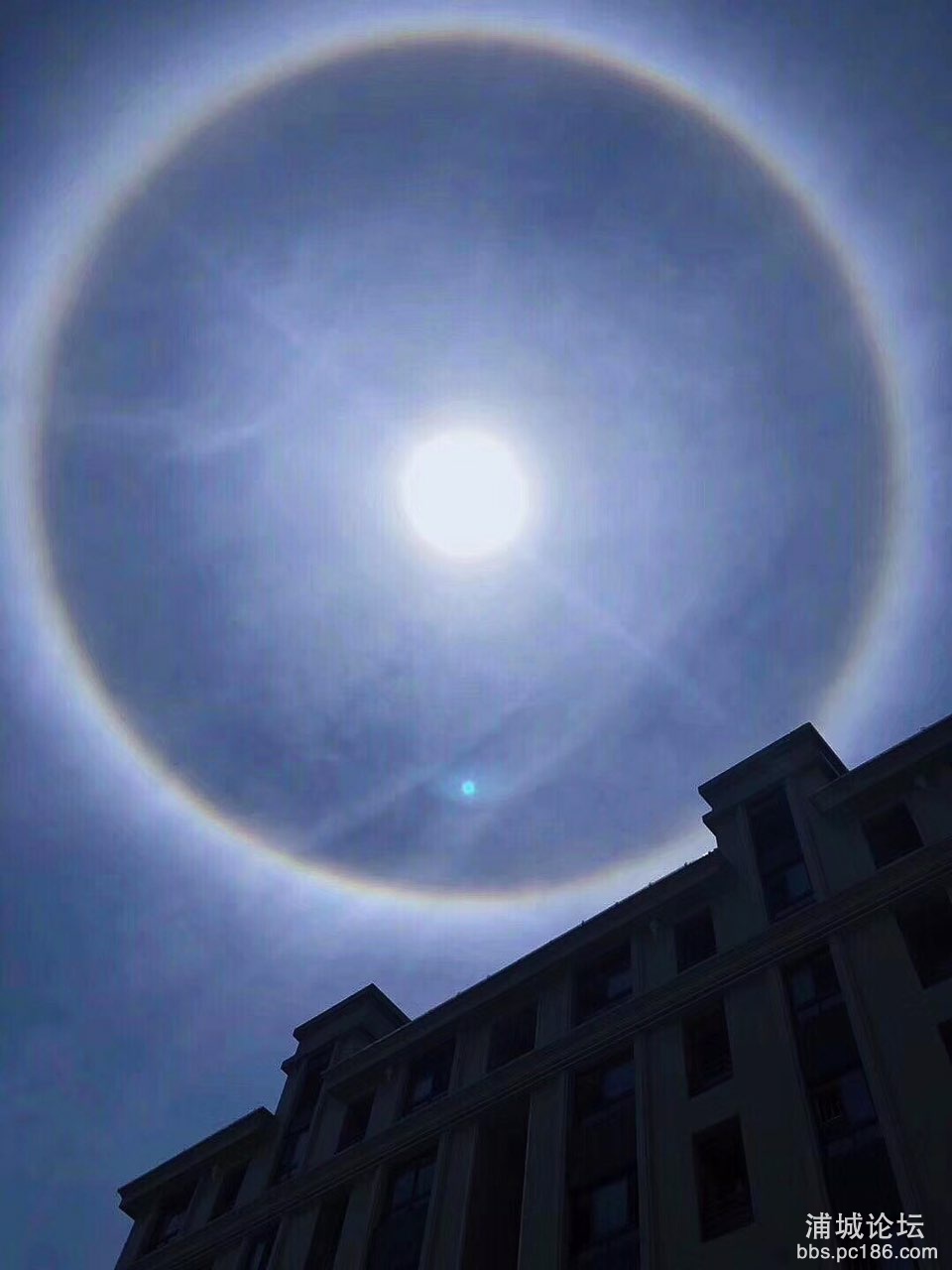 201904181178811555560848438402.jpg