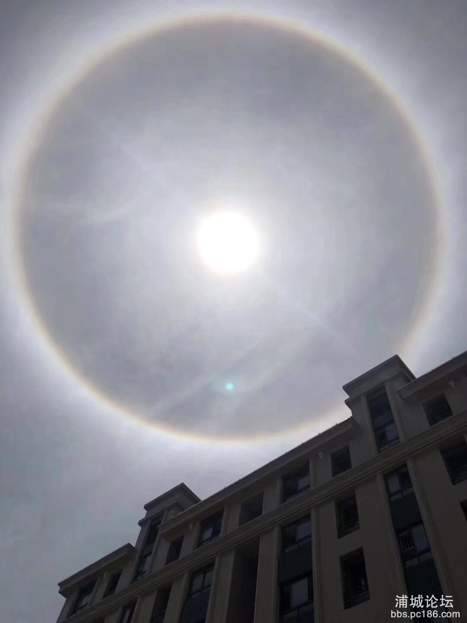 201904181178811555560848413615.jpg