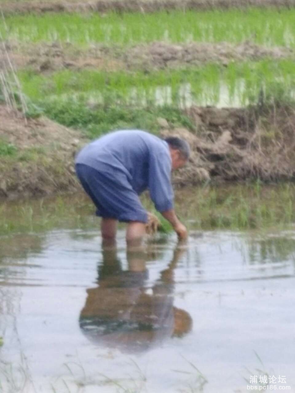 20190611_147252_1560219653268.jpg
