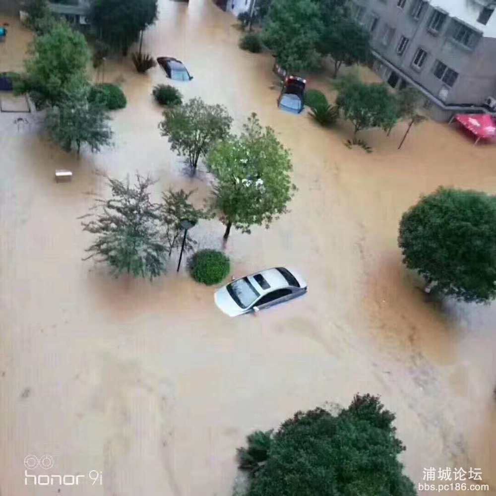QQ图片20190709172942.jpg