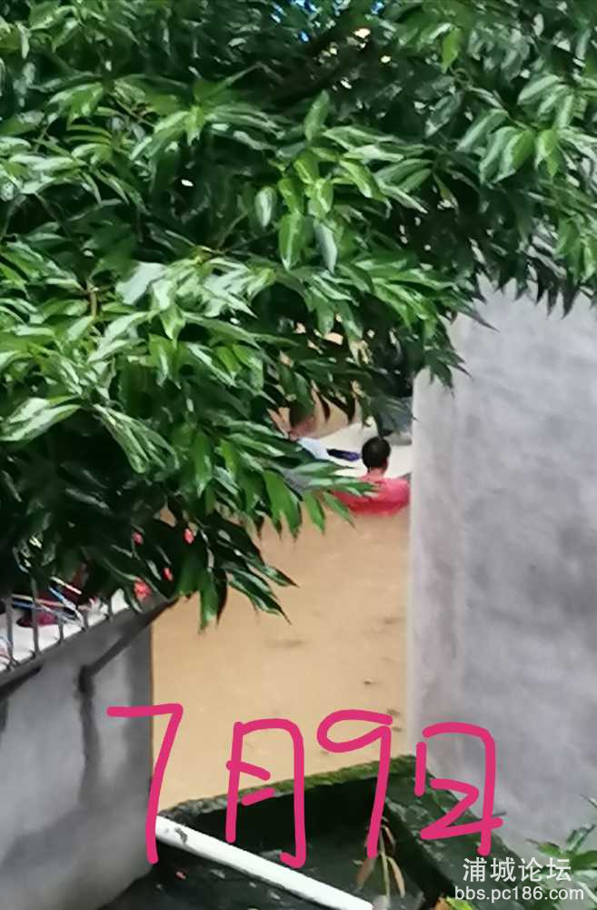 IMG_20190720_070820.jpg