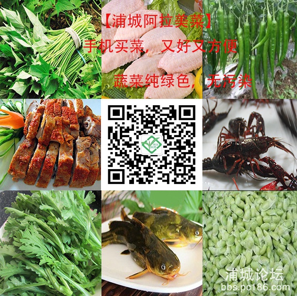 宣传图码.jpg