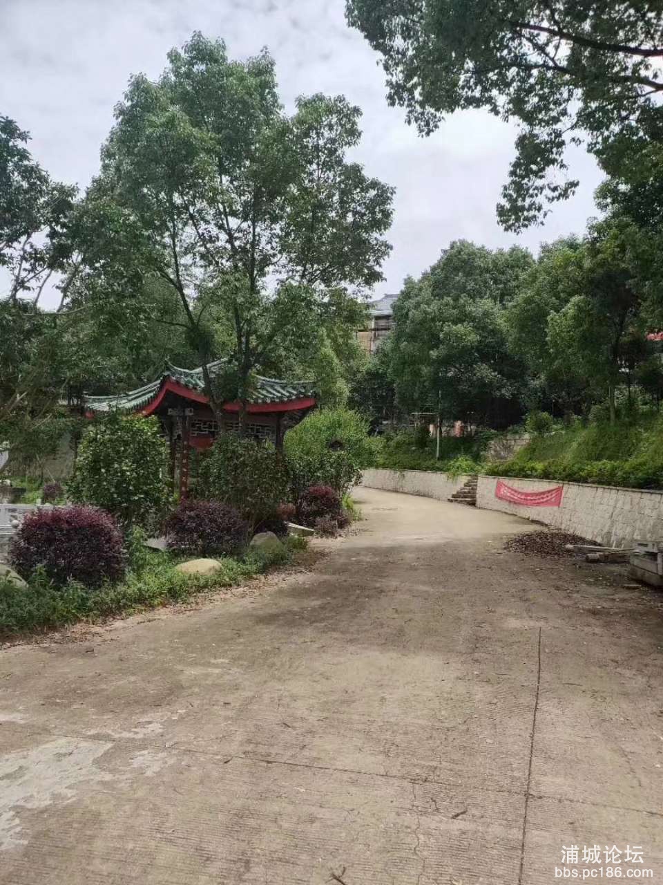20190801_228679_1564671919615.jpg