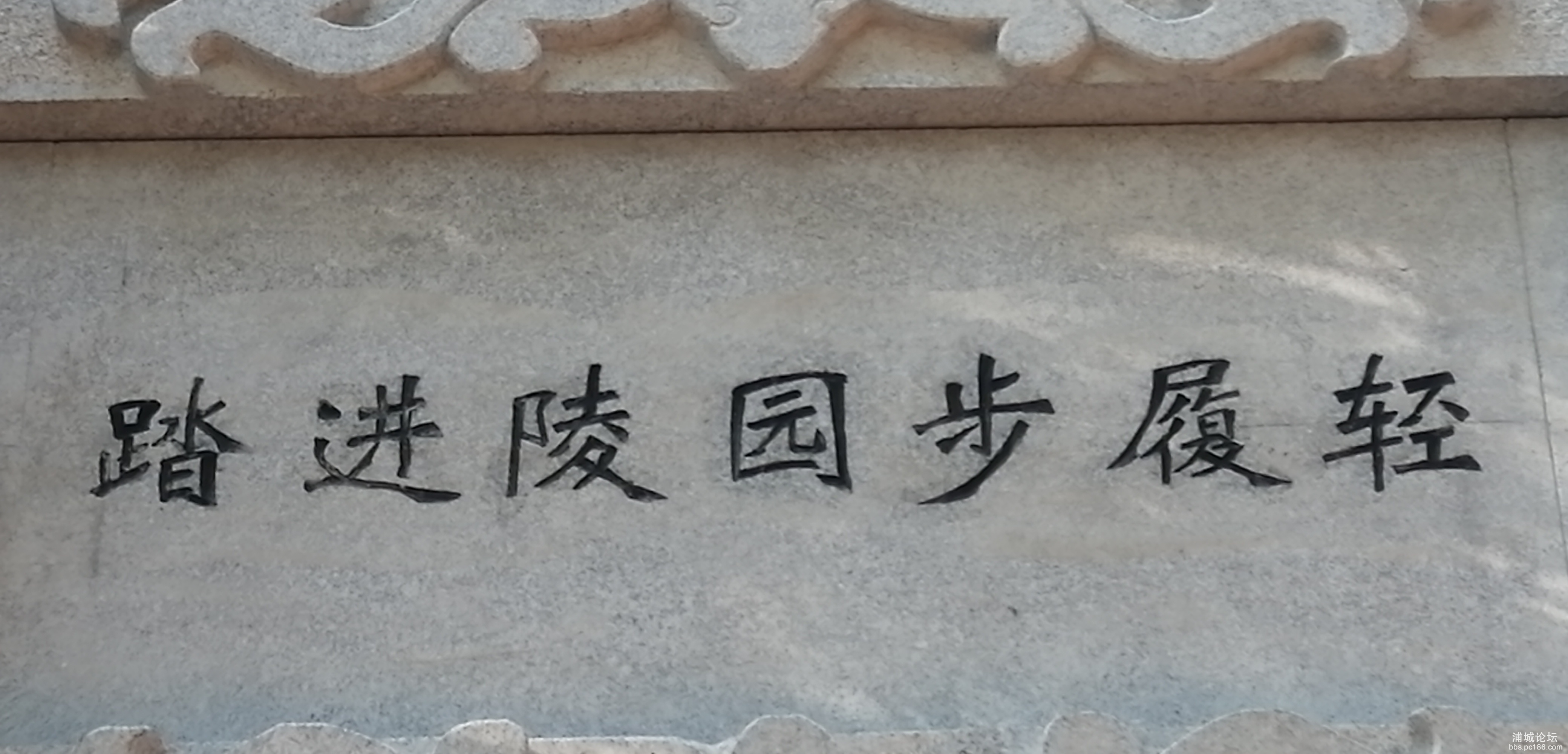 IMG_20190826_075801.jpg