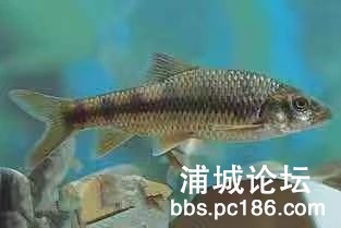 d1fa376349509ed715a3cbd723a58316.jpg