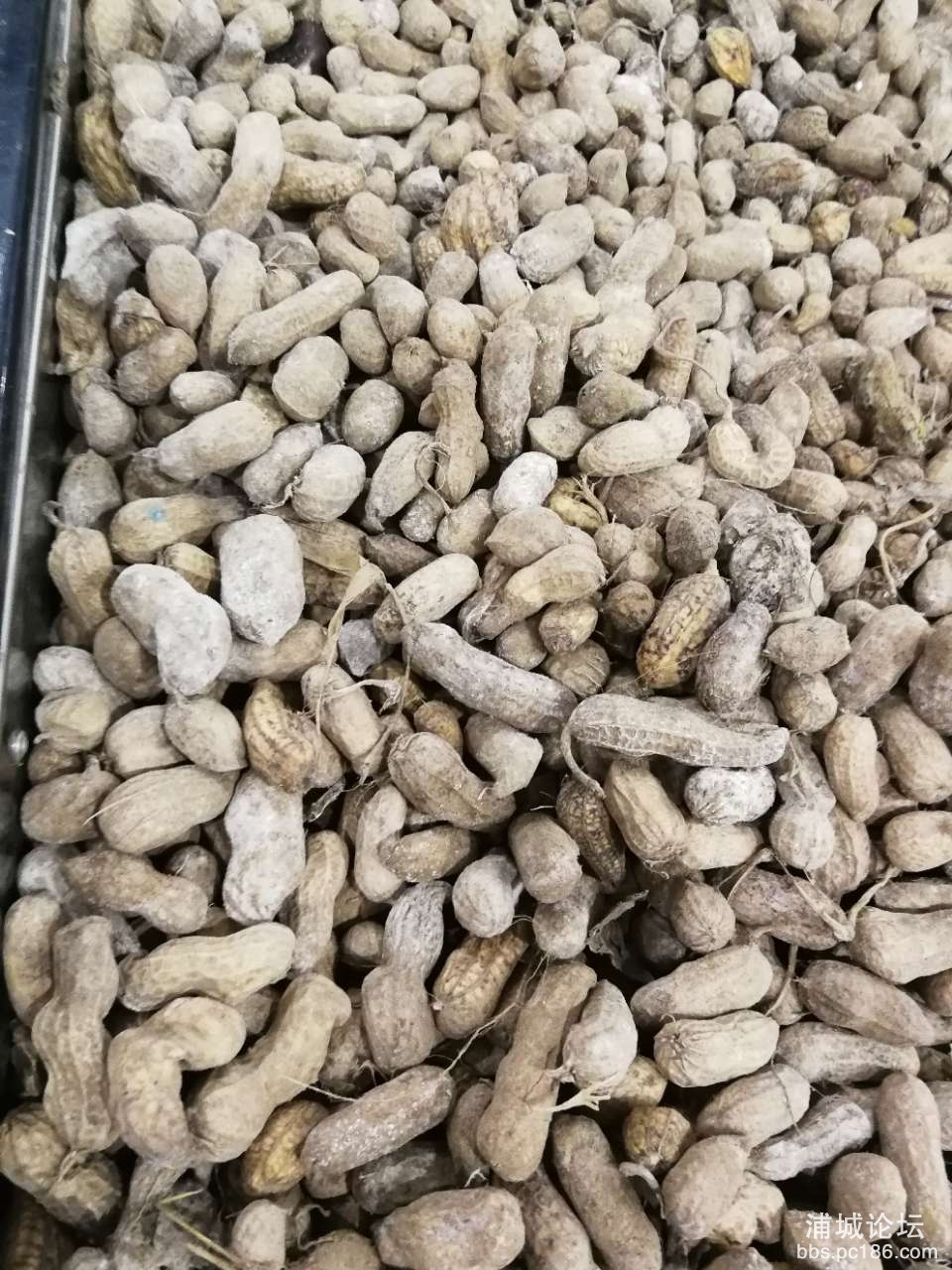 20191005_233510_1570273393874.jpg