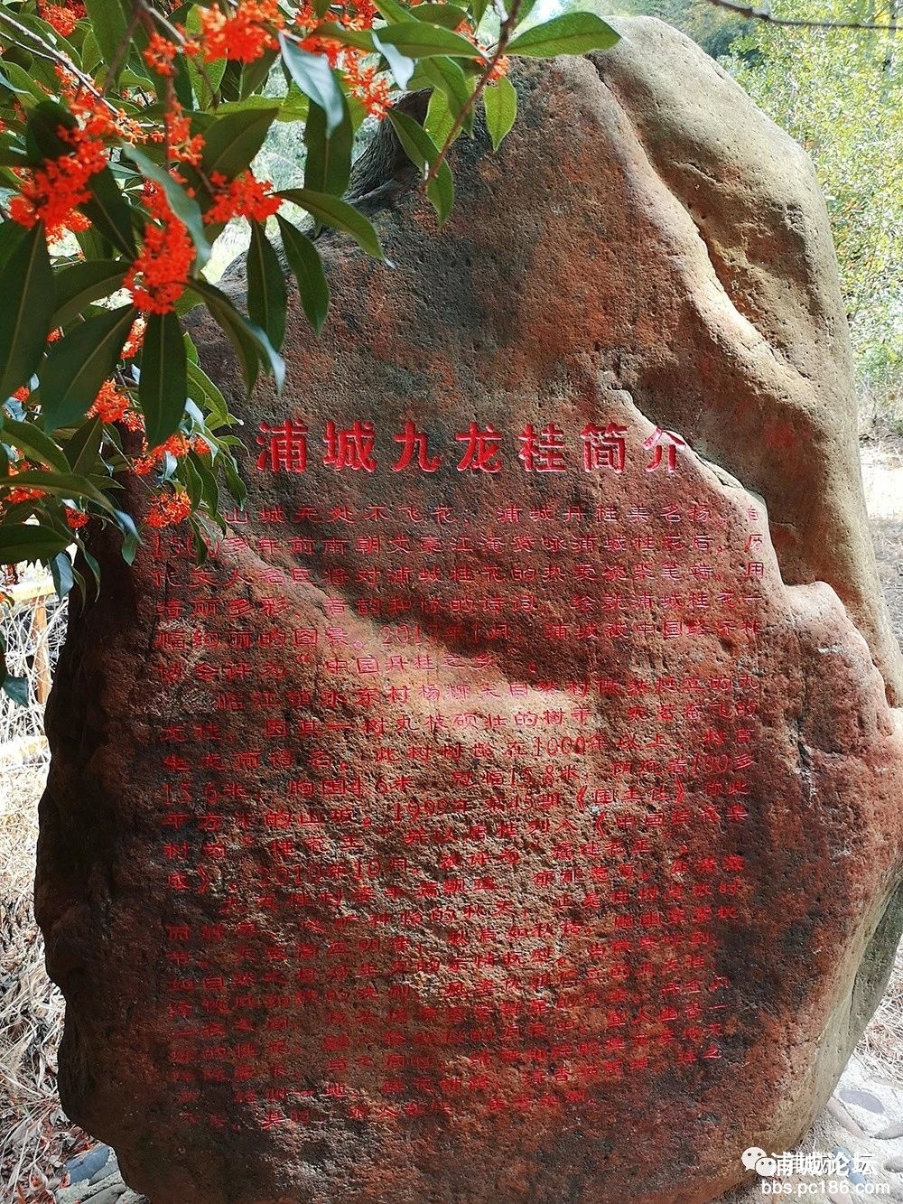 9bb3f4caf43708872c060084c7953b53.jpg