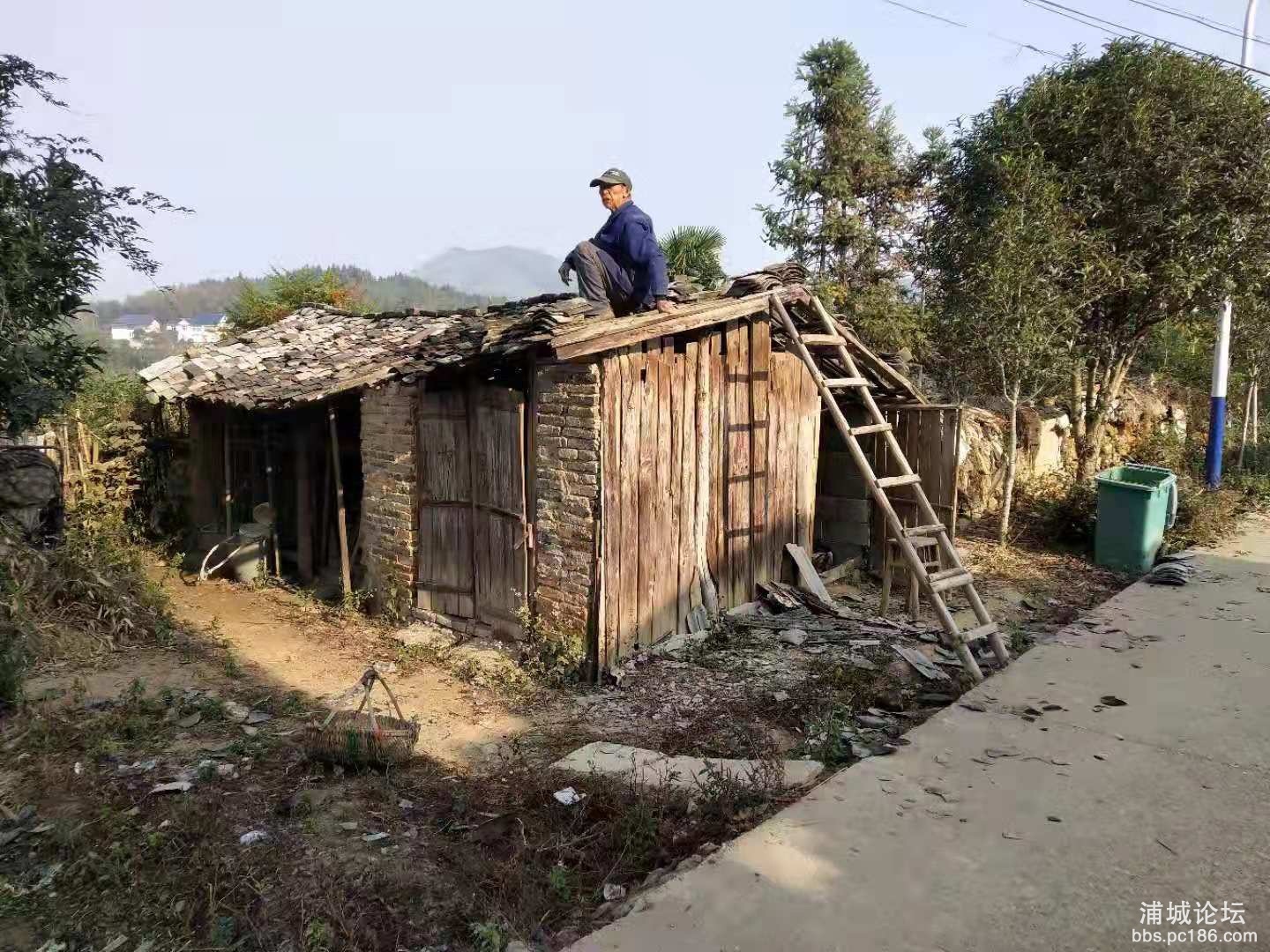 图片8.JPG