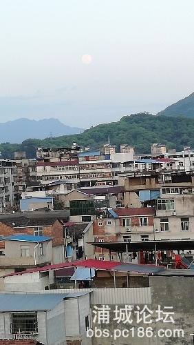 IMG_20200407_181020.jpg