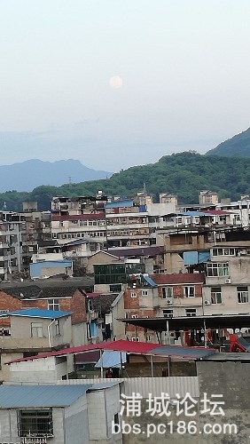 IMG_20200407_181031.jpg