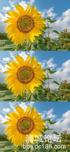 E60C4617-F49F-4260-92AF-8EEECC88D5AF.jpeg