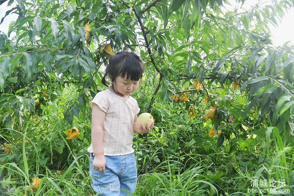 3.我也来一个.jpg