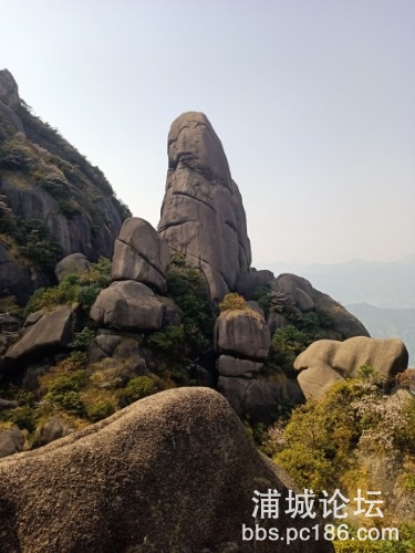IMG20191004130331.jpg