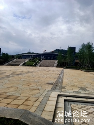 IMG20200505144944.jpg