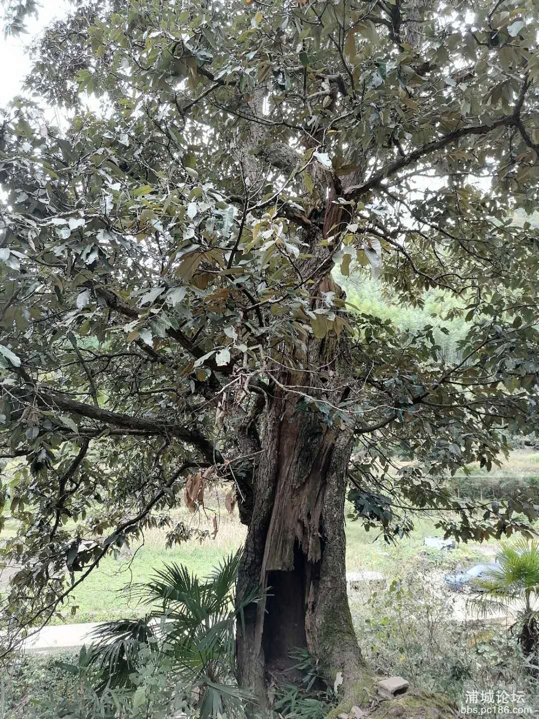 微信图片_20201018163321.jpg