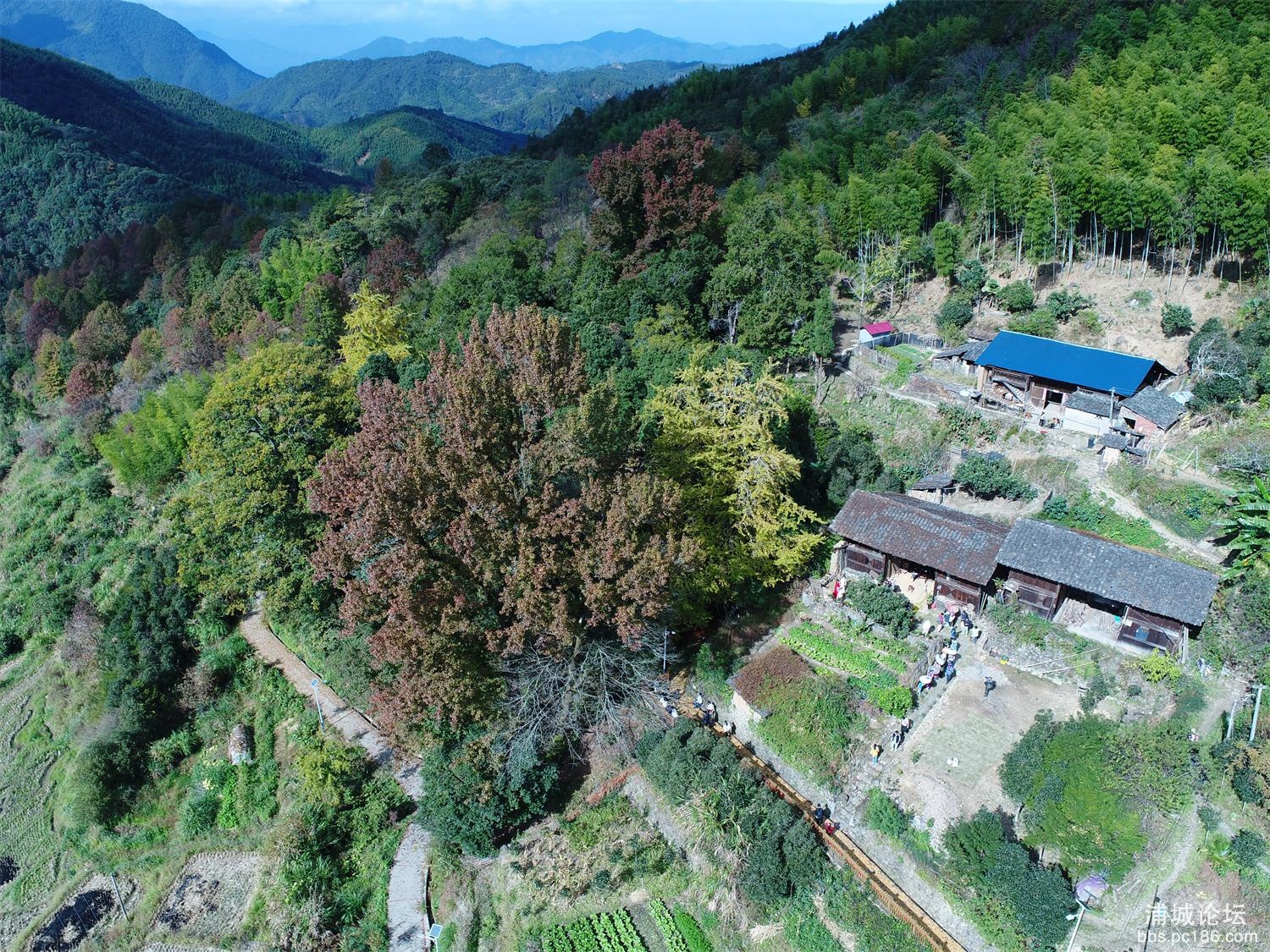 DJI_0023.JPG